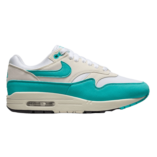 Nike Air Max 1 Dusty Cactus (W)