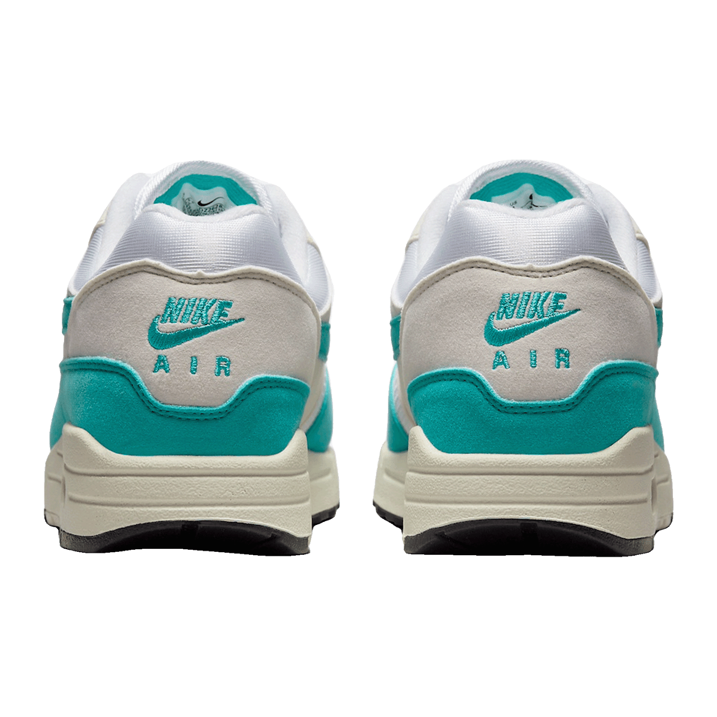 Nike Air Max 1 Dusty Cactus (W) Back