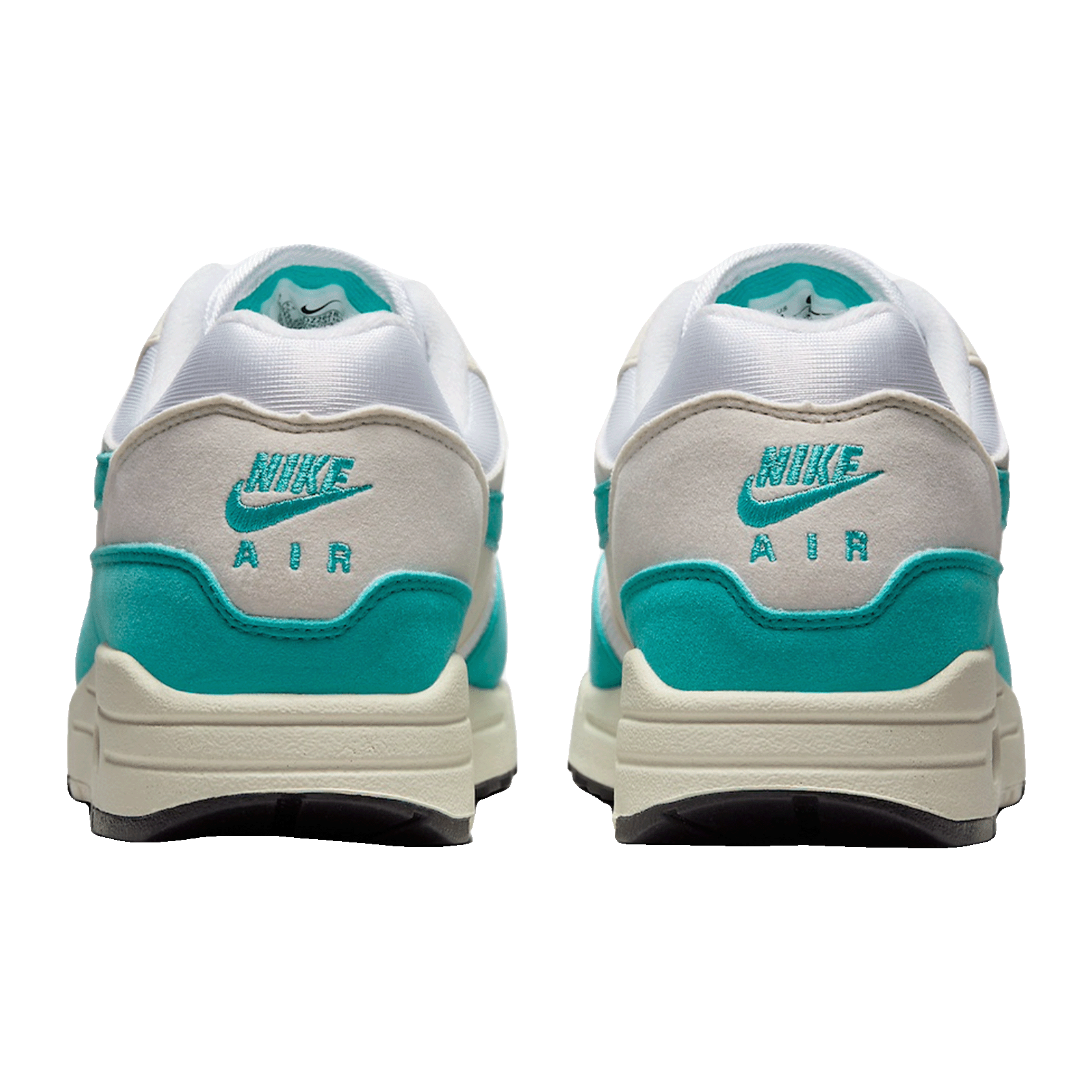 Nike Air Max 1 Dusty Cactus (W) Back