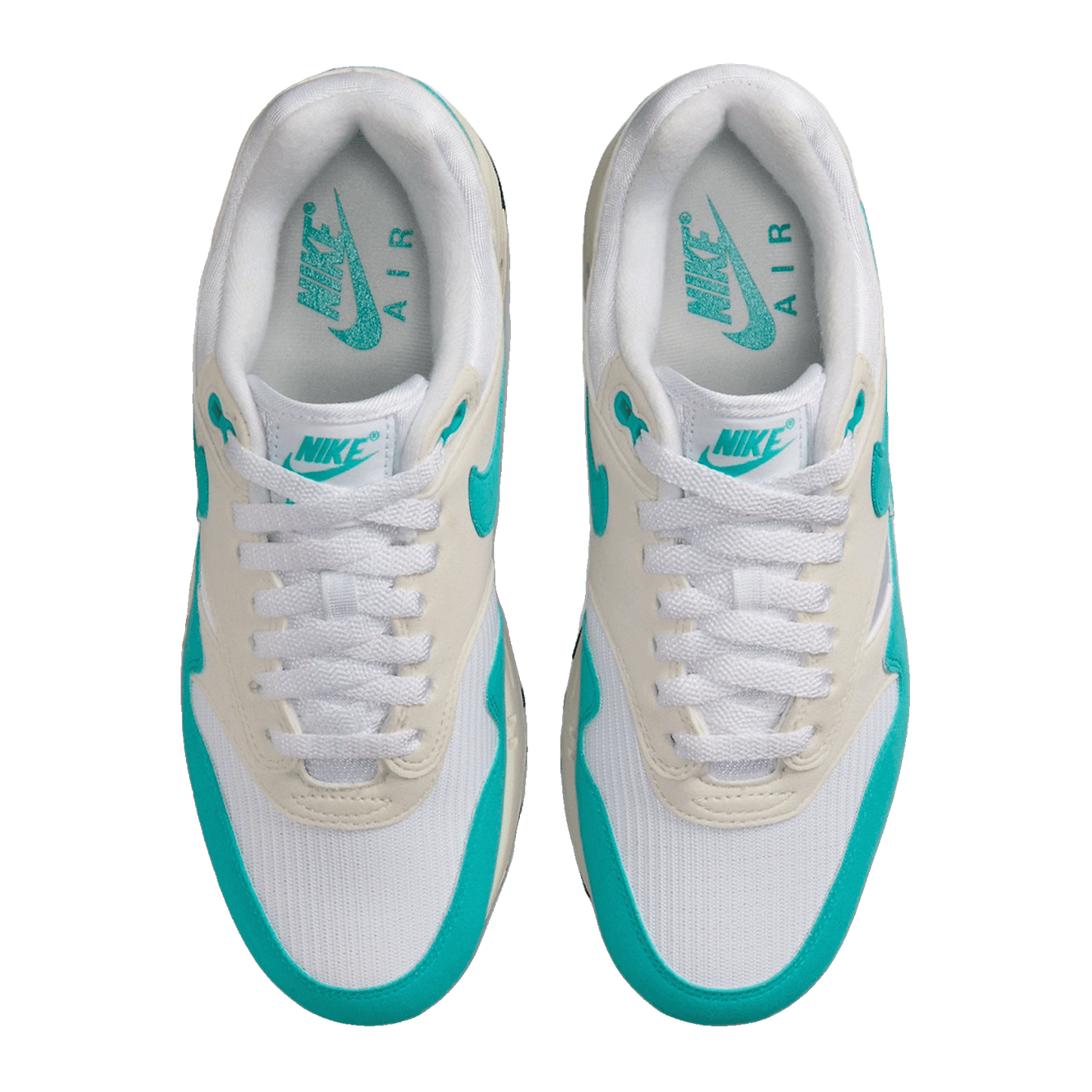 Nike Air Max 1 Dusty Cactus (W) Oben