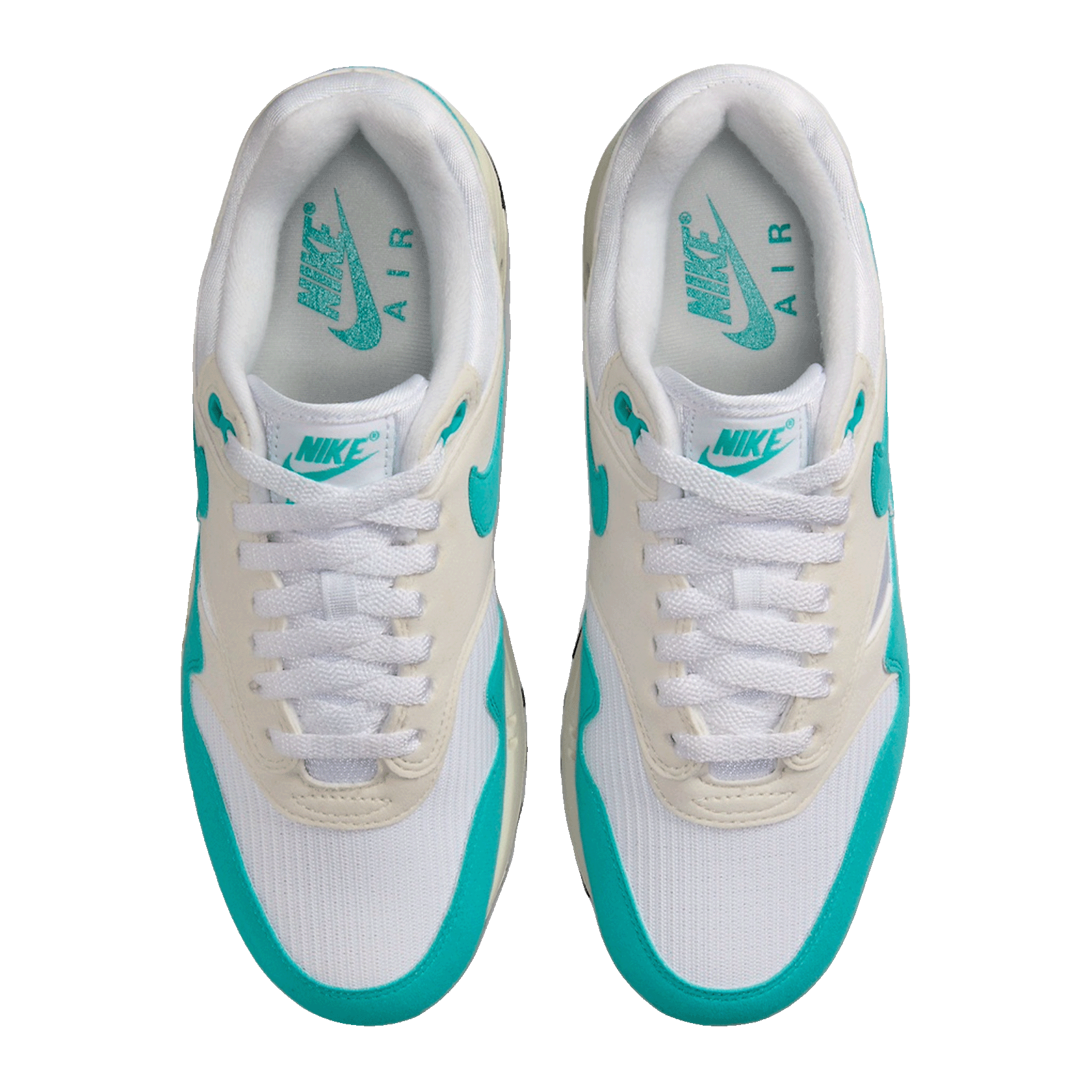 Nike Air Max 1 Dusty Cactus (W) Oben