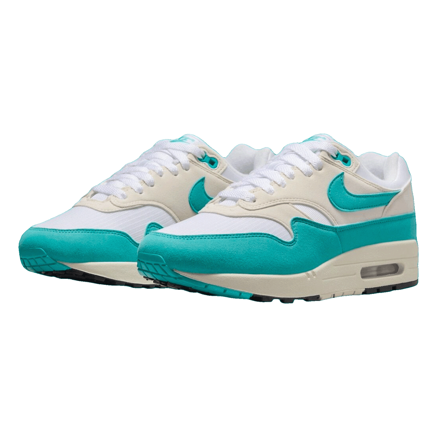Nike Air Max 1 Dusty Cactus (W) Side