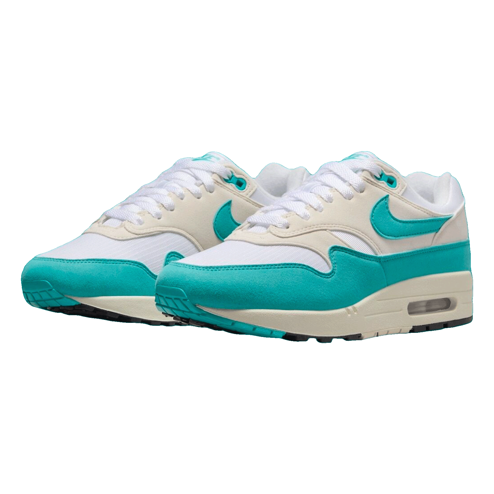 Nike Air Max 1 Dusty Cactus (W) Side