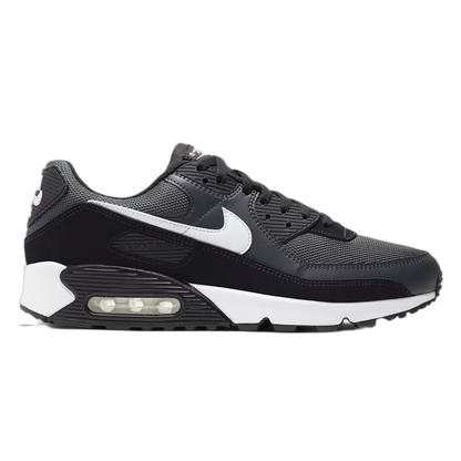 Nike Air Max 90 Iron Grey CN8490-002