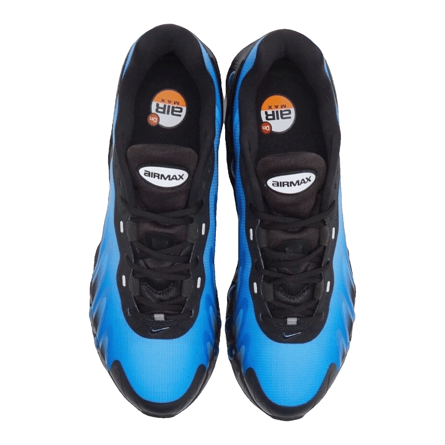 Nike Air Max Dn8 Hyper Royal Oben FQ7860-001