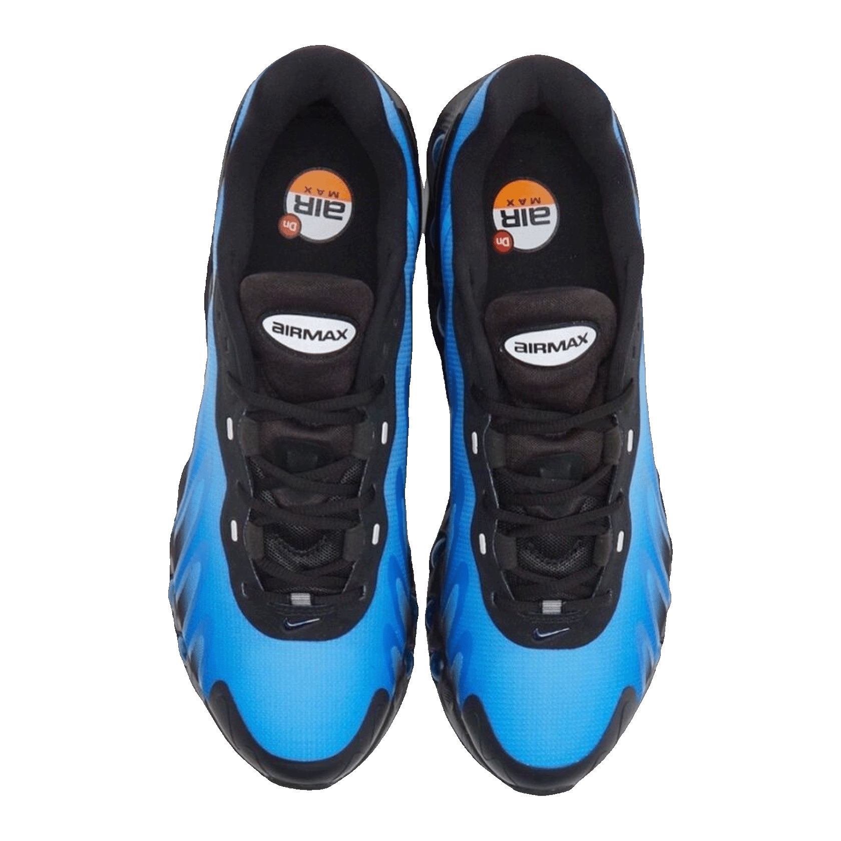 Nike Air Max Dn8 Hyper Royal Oben FQ7860-001