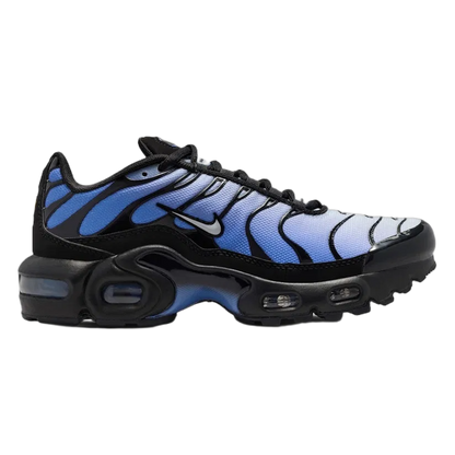 Nike Air Max Plus Black Sapphire (GS) CD0609-045
