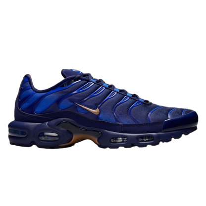 Nike Air Max Plus French Football Federation IQ0170-400