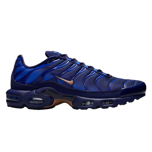 Nike Air Max Plus French Football Federation IQ0170-400