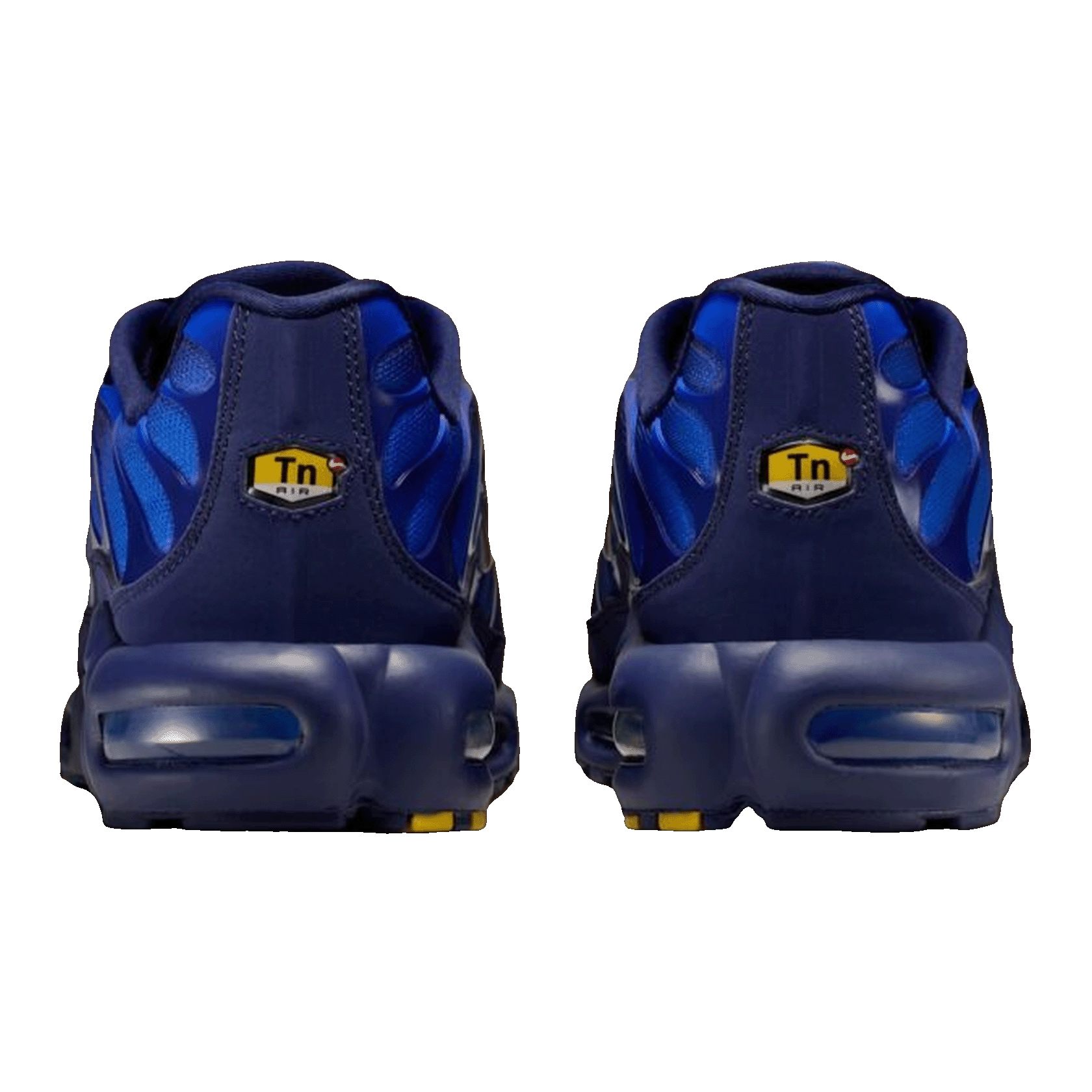 Nike Air Max Plus French Football Federation Back IQ0170-400