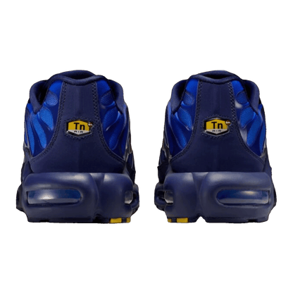 Nike Air Max Plus French Football Federation Back IQ0170-400