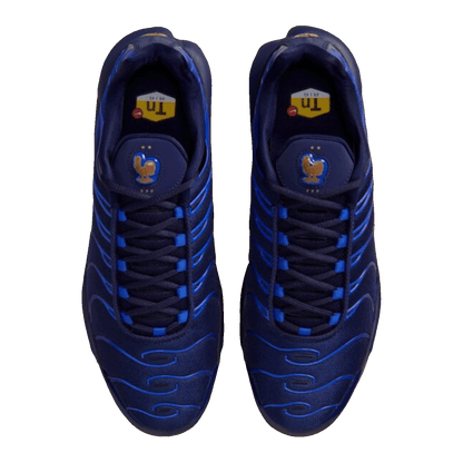 Nike Air Max Plus French Football Federation Oben IQ0170-400