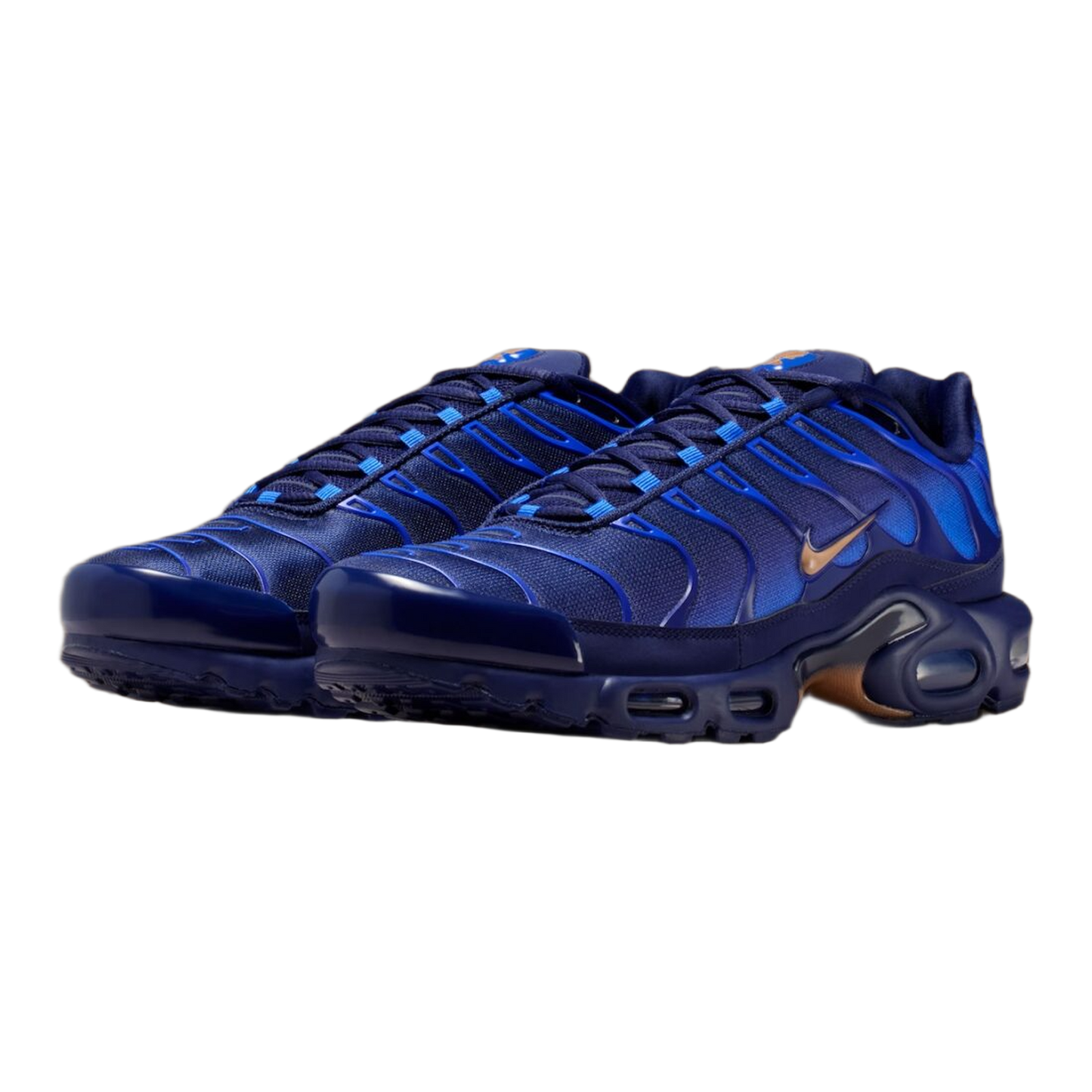 Nike Air Max Plus French Football Federation Side IQ0170-400