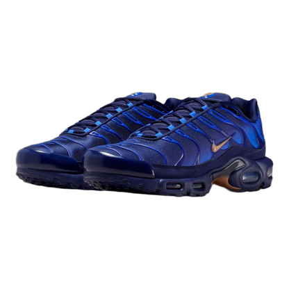 Nike Air Max Plus French Football Federation Side IQ0170-400