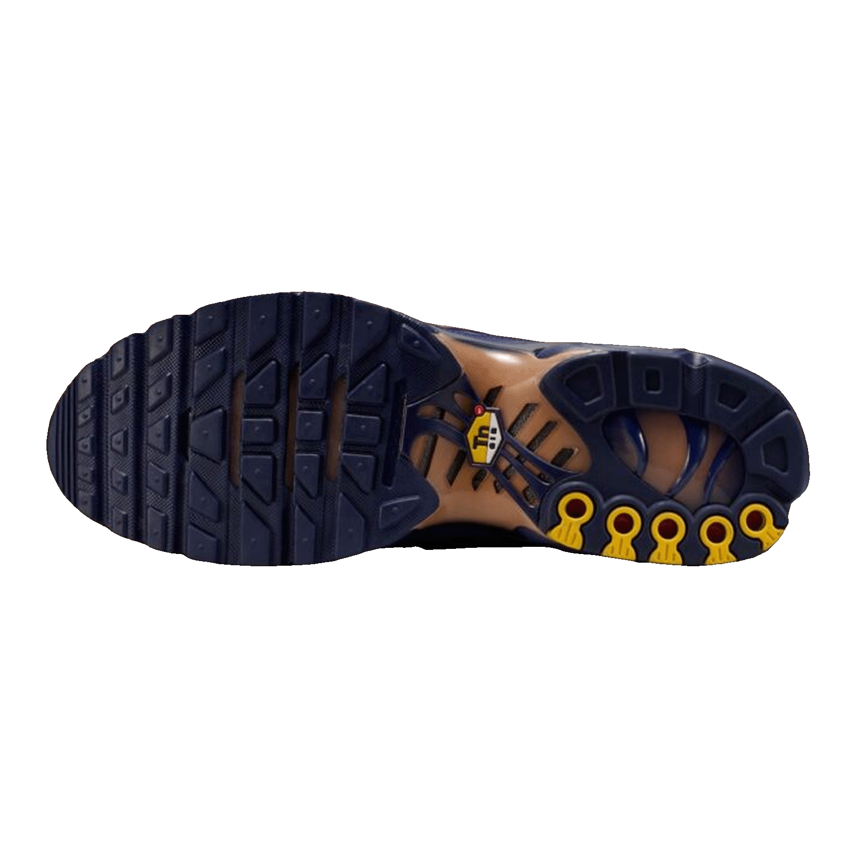Nike Air Max Plus French Football Federation Sohle IQ0170-400