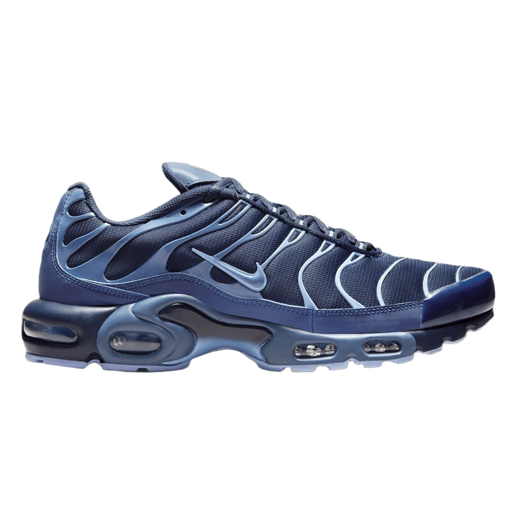 Nike Air Max Plus Obsidian Aluminum IM6601-451