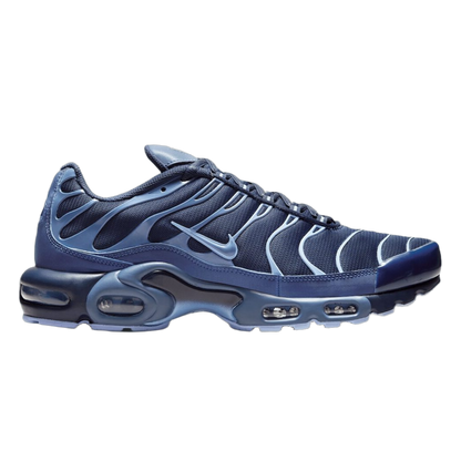 Nike Air Max Plus Obsidian Aluminum IM6601-451