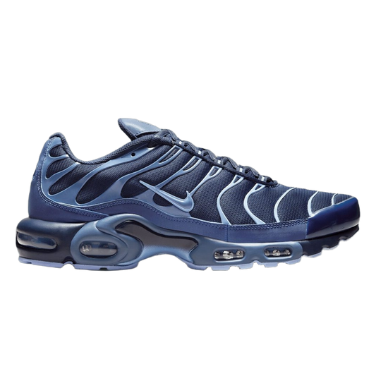 Nike Air Max Plus Obsidian Aluminum IM6601-451