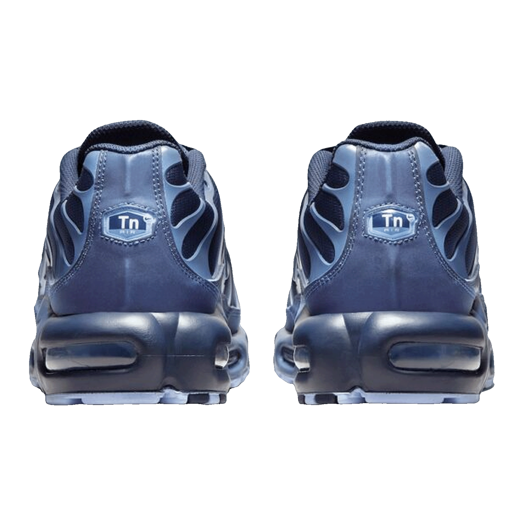 Nike Air Max Plus Obsidian Aluminum Back IM6601-451