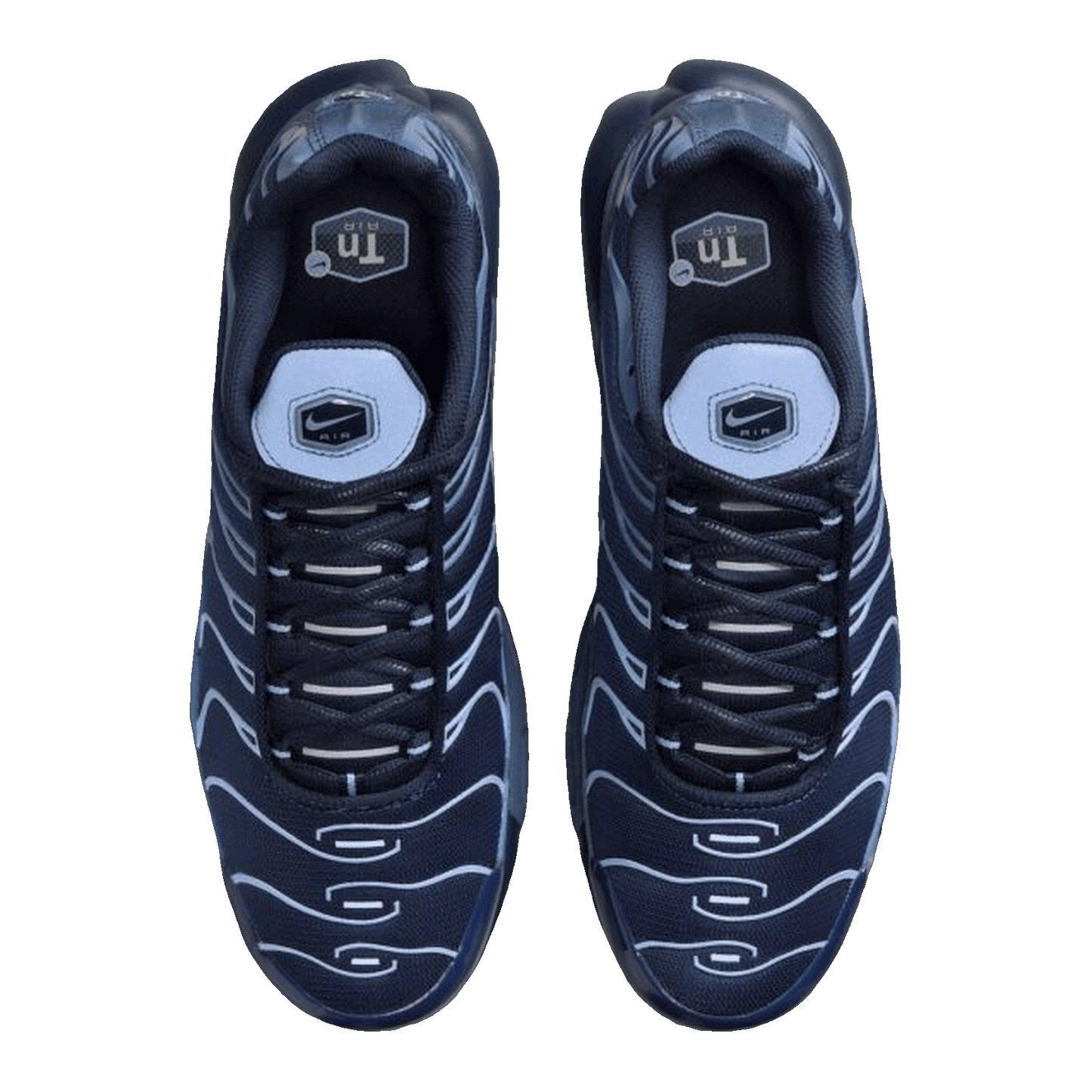 Nike Air Max Plus Obsidian Aluminum Oben IM6601-451
