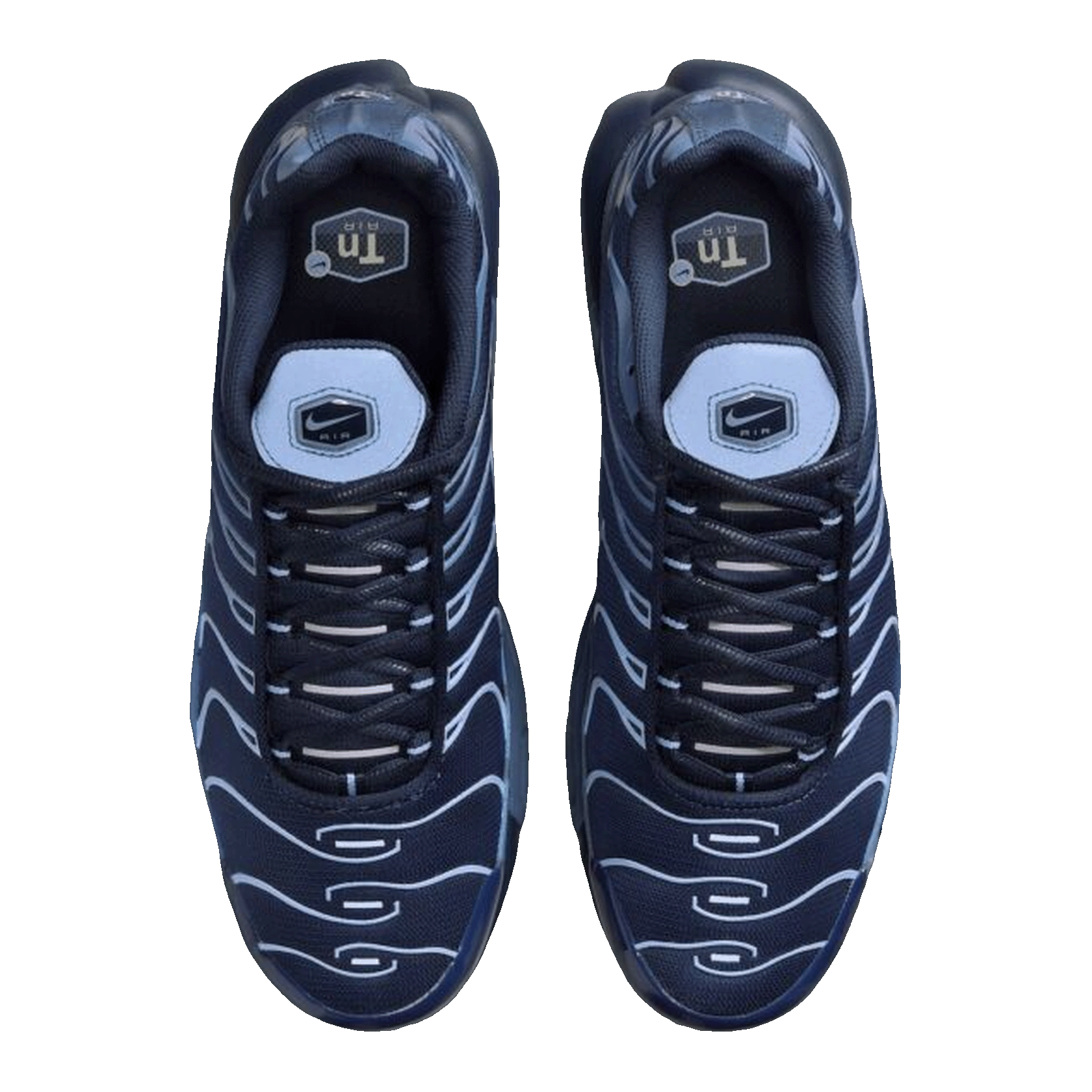 Nike Air Max Plus Obsidian Aluminum Oben IM6601-451
