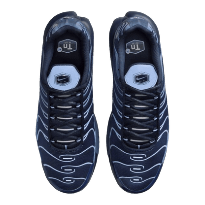 Nike Air Max Plus Obsidian Aluminum Oben IM6601-451