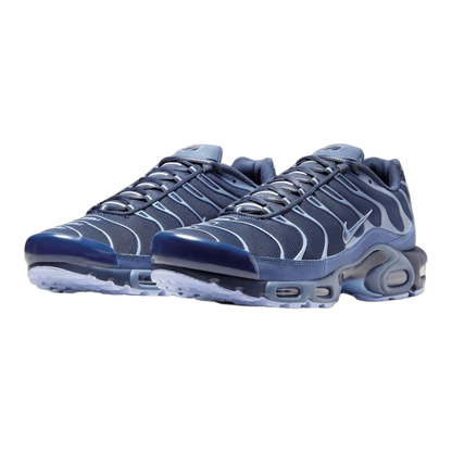 Nike Air Max Plus Obsidian Aluminum Side IM6601-451