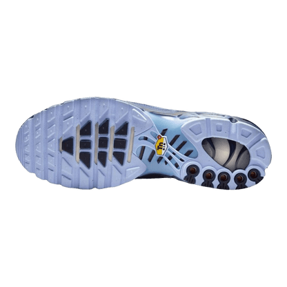 Nike Air Max Plus Obsidian Aluminum Sohle IM6601-451