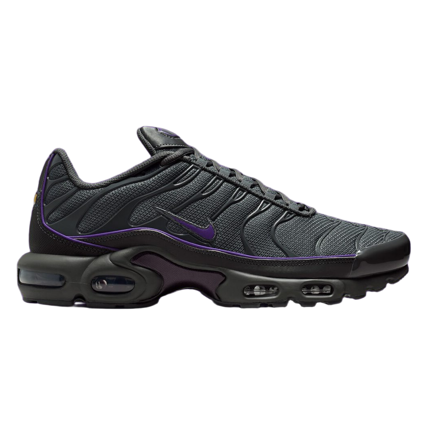 Nike Air Max Plus OG Iron Grey Wild Grape HV8066-001