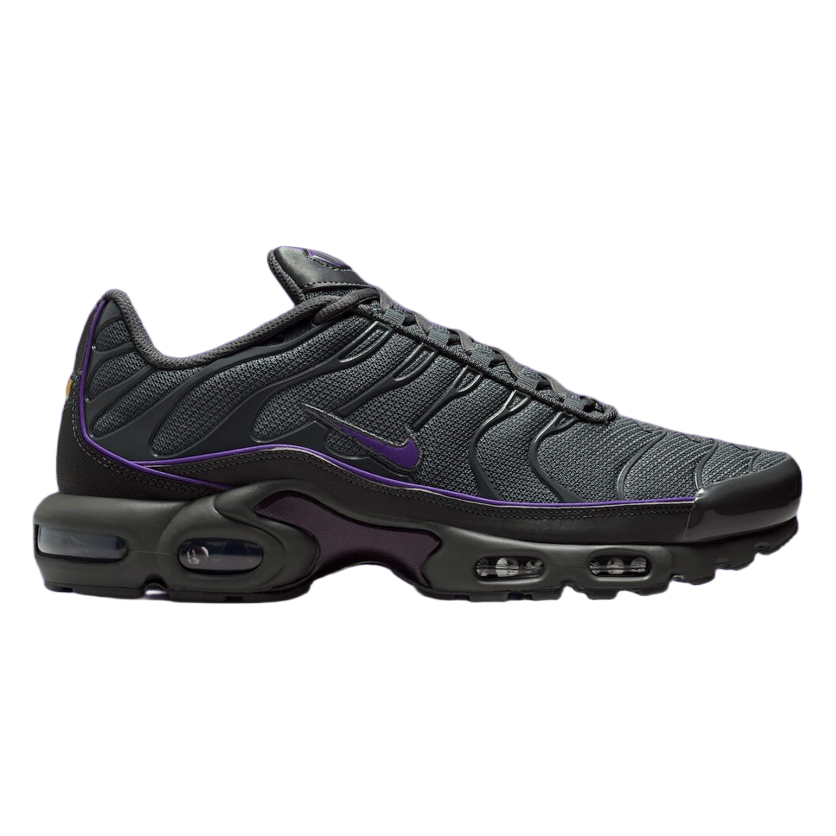 Nike Air Max Plus OG Iron Grey Wild Grape HV8066-001