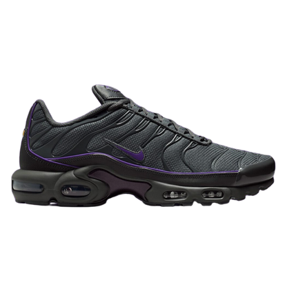 Nike Air Max Plus OG Iron Grey Wild Grape HV8066-001