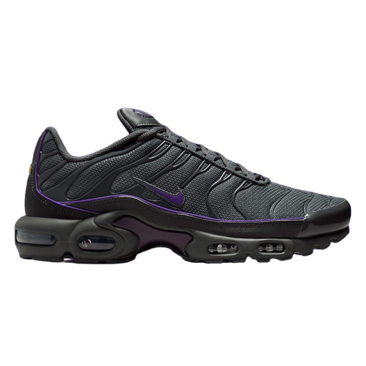 Nike Air Max Plus OG Iron Grey Wild Grape HV8066-001