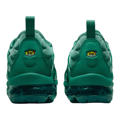 Nike Air Max VaporMax Plus Bicoastal (W) Back HF5048-361