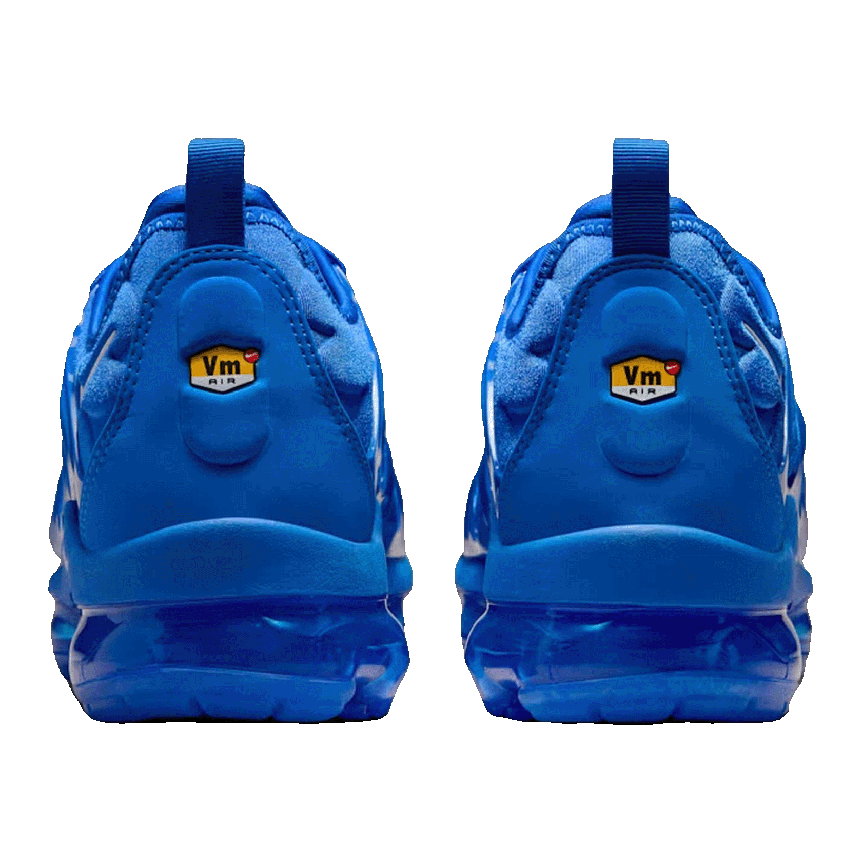Nike Air VaporMax Plus Game Royal Metallic Silver Back HJ9148-480