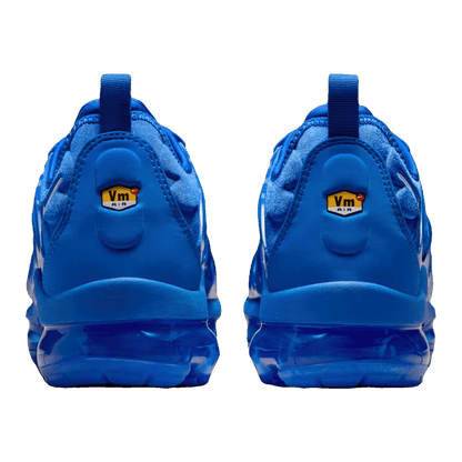 Nike Air VaporMax Plus Game Royal Metallic Silver Back HJ9148-480