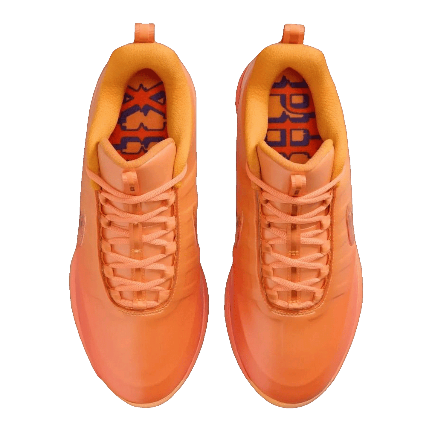 Nike Book 2 Phoenix Oben IB6687-700 / IB6688-700
