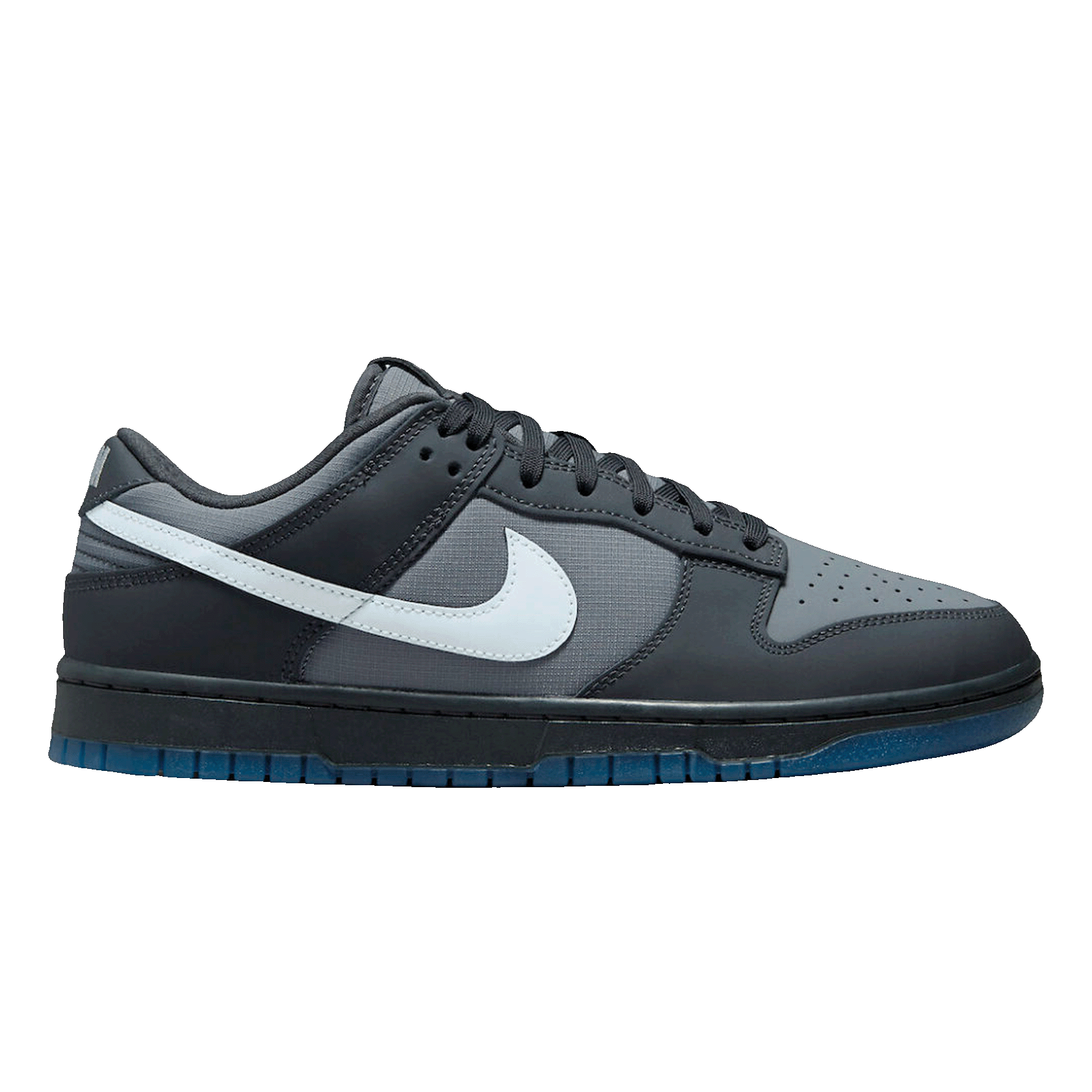 Nike Dunk Low Anthracite FV0384-001