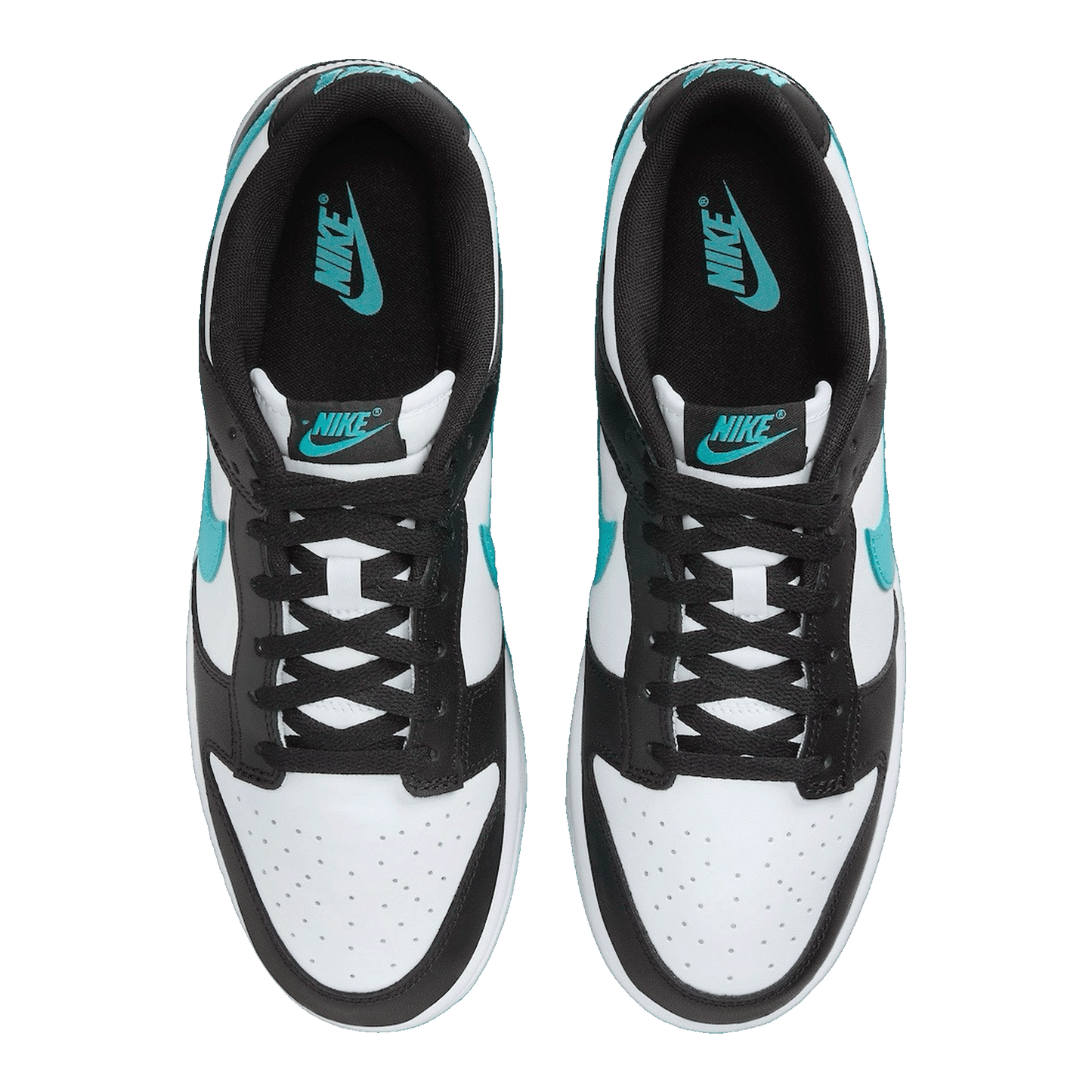 Nike Dunk Low Black Dusty Cactus DV0833-109