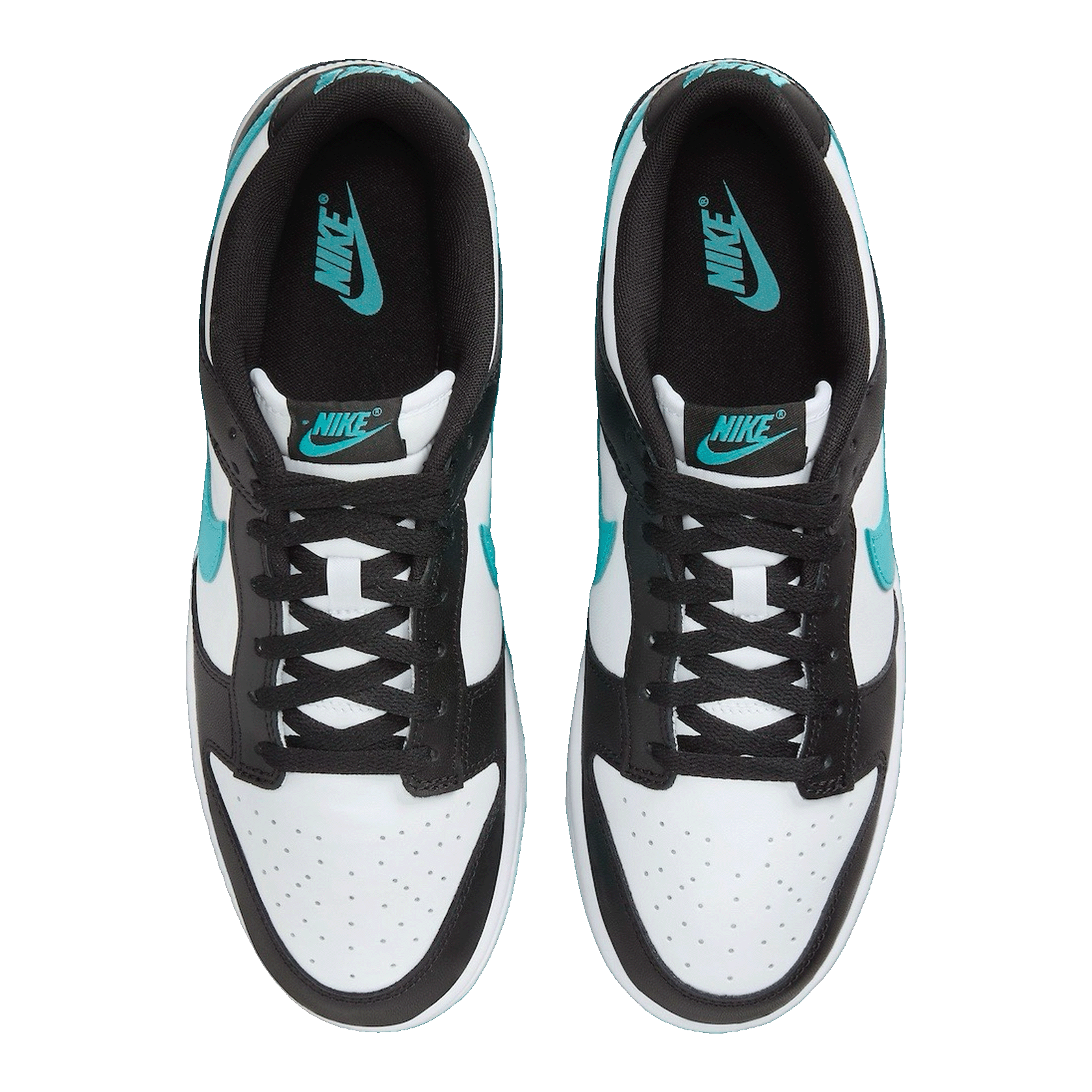 Nike Dunk Low Black Dusty Cactus DV0833-109