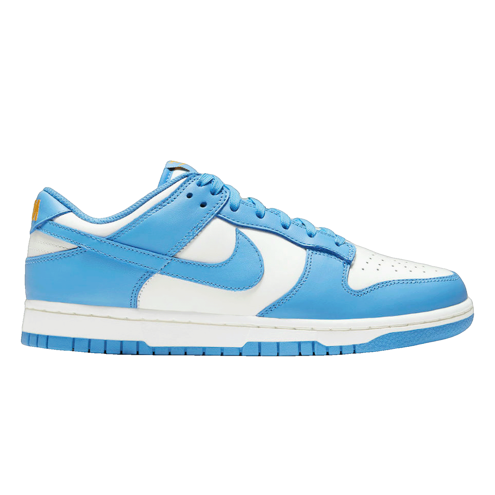 Nike Dunk Low Coast (W) DD1503-100