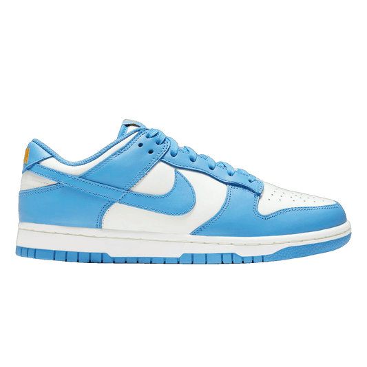 Nike Dunk Low Coast (W) DD1503-100