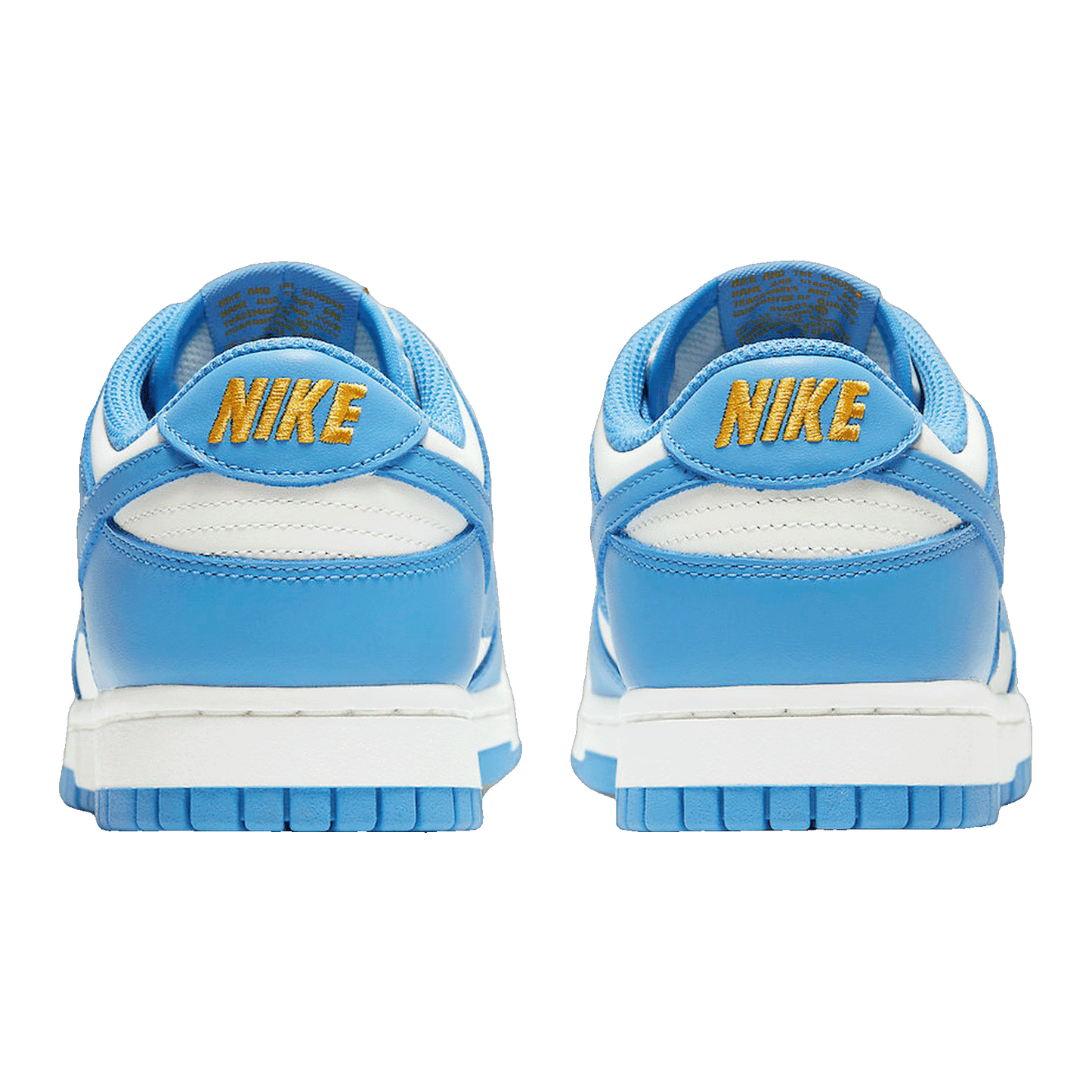 Nike Dunk Low Coast (W) Back DD1503-100