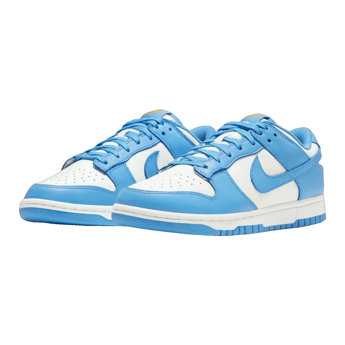 Nike Dunk Low Coast (W) Side DD1503-100