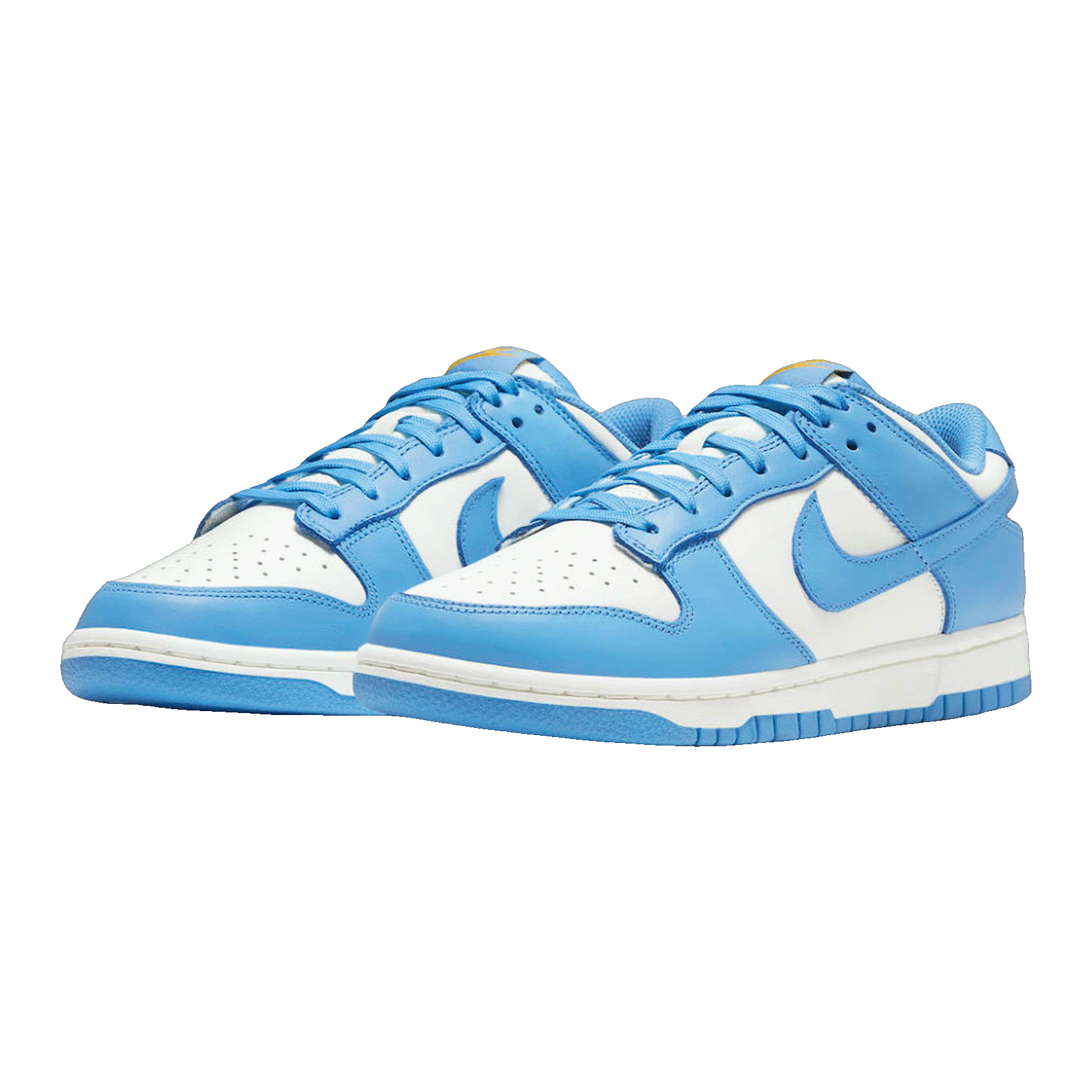 Nike Dunk Low Coast (W) Side DD1503-100