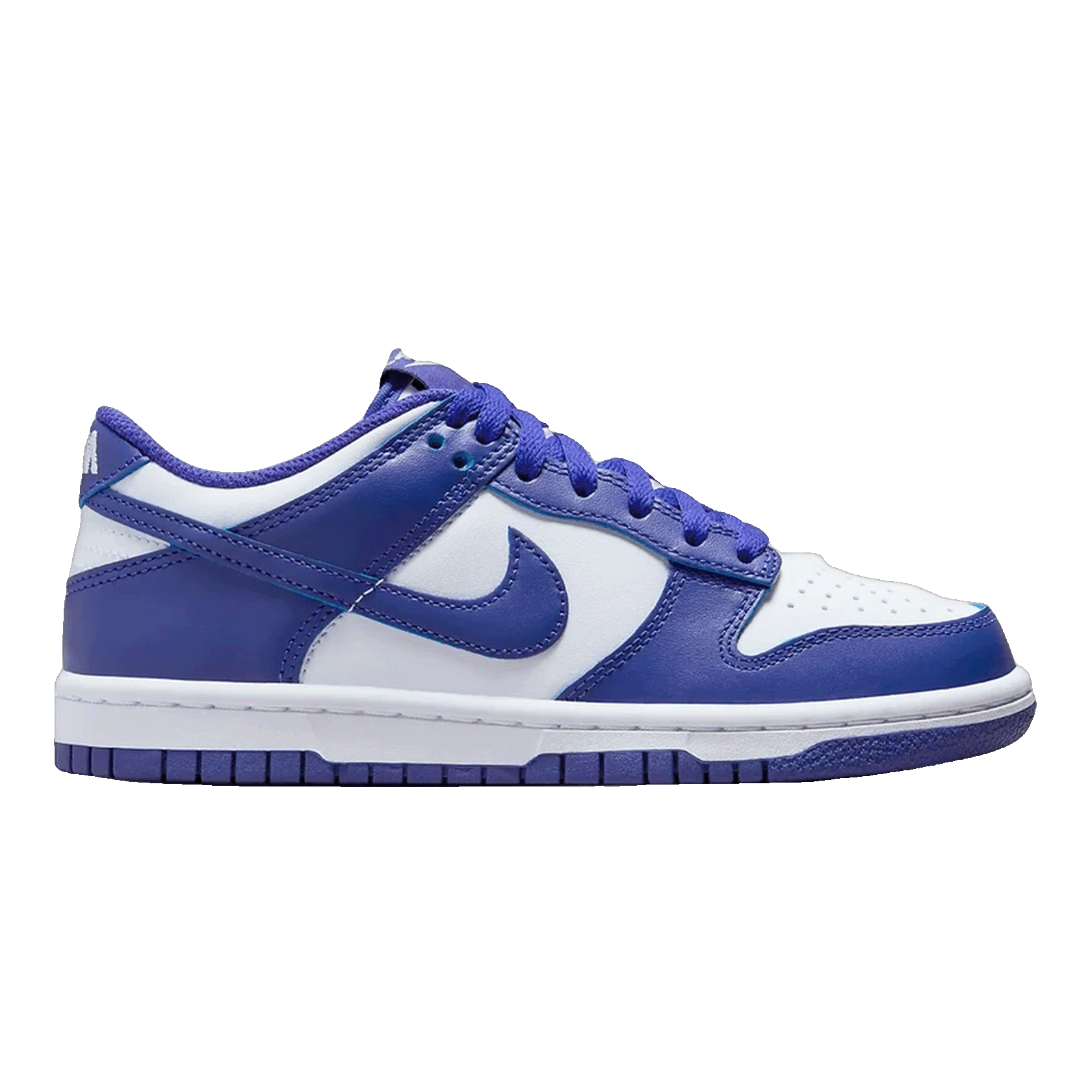 Nike Dunk Low Concord (GS) FB9109-106