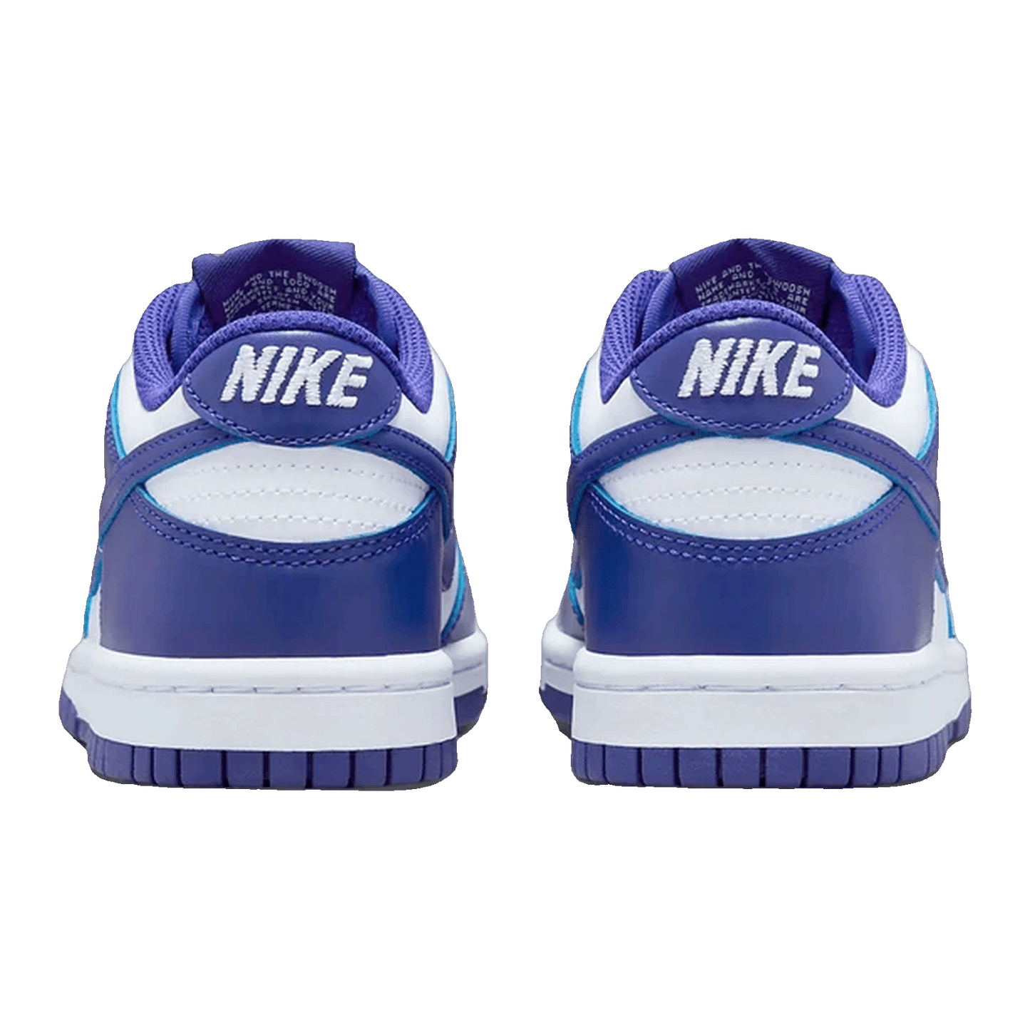 Nike Dunk Low Concord (GS) Back FB9109-106
