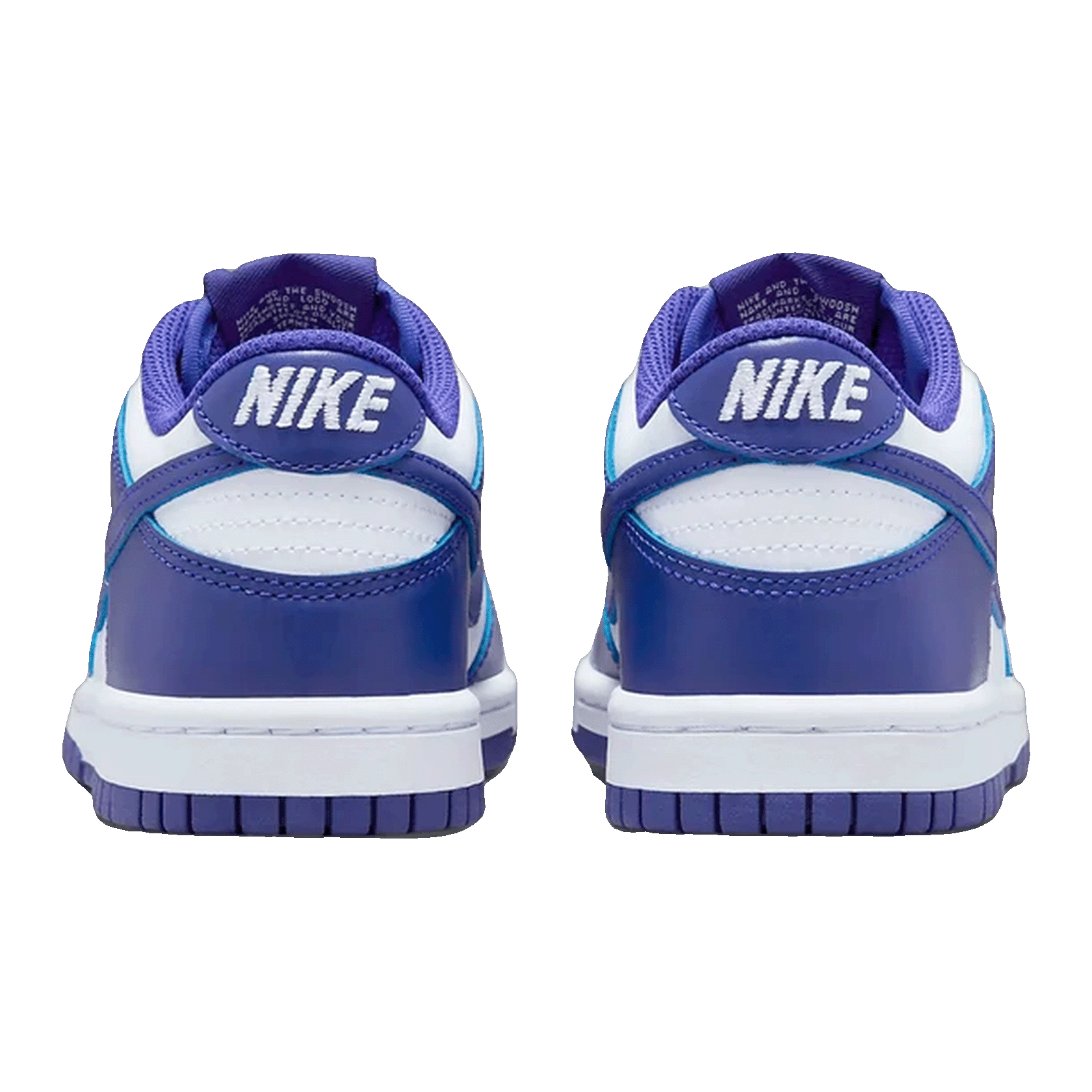 Nike Dunk Low Concord (GS) Back FB9109-106