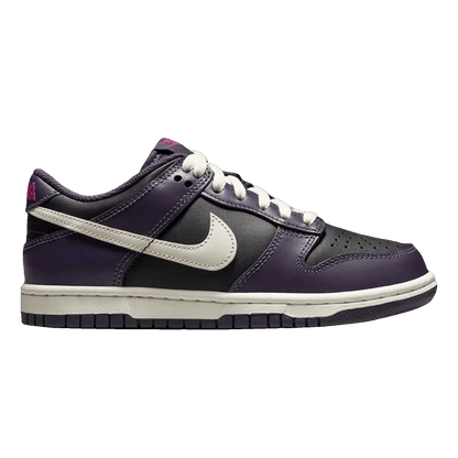 Nike Dunk Low Dark Raisin (GS) FB9109-003