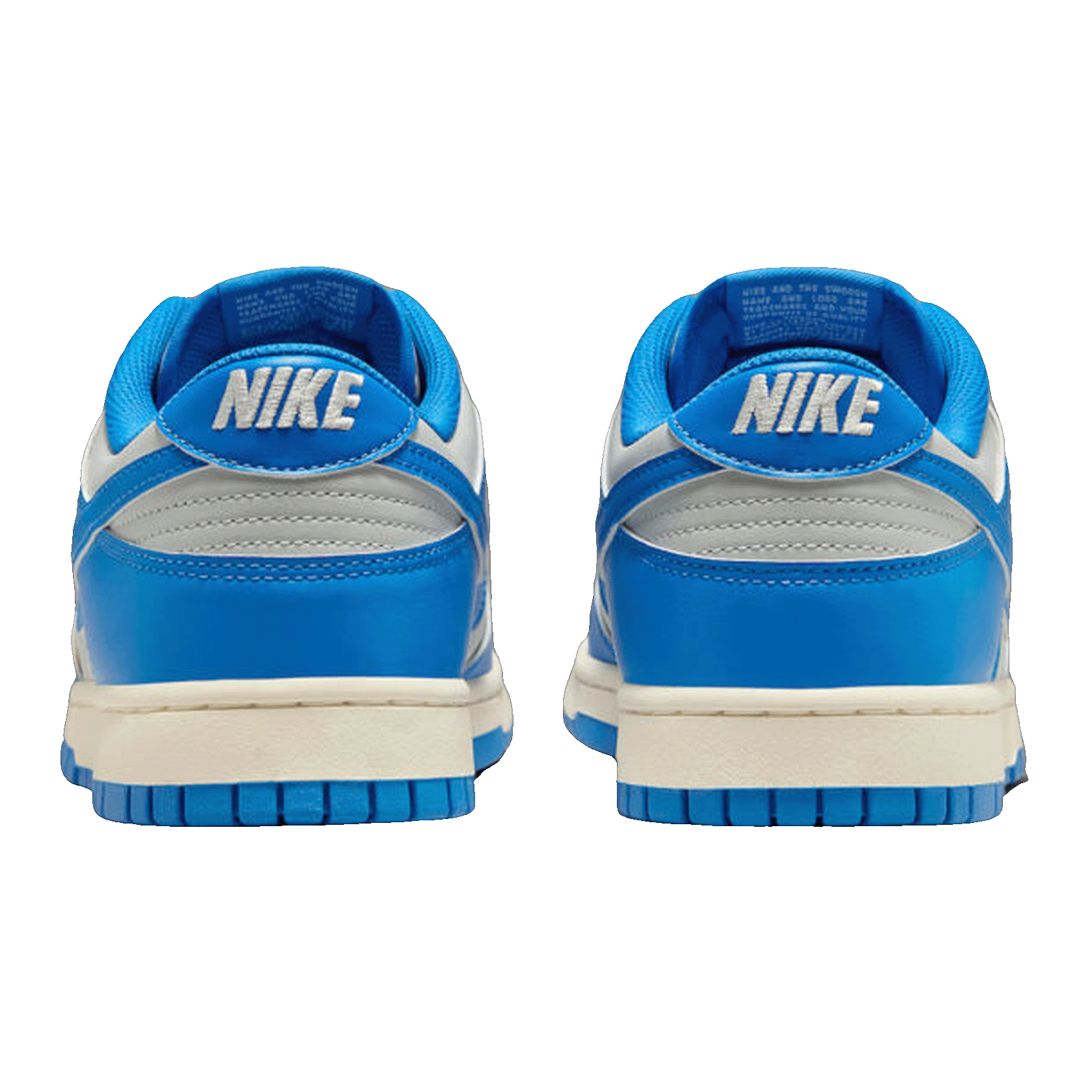 Nike Dunk Low Detroit Lions Back HF5441-002