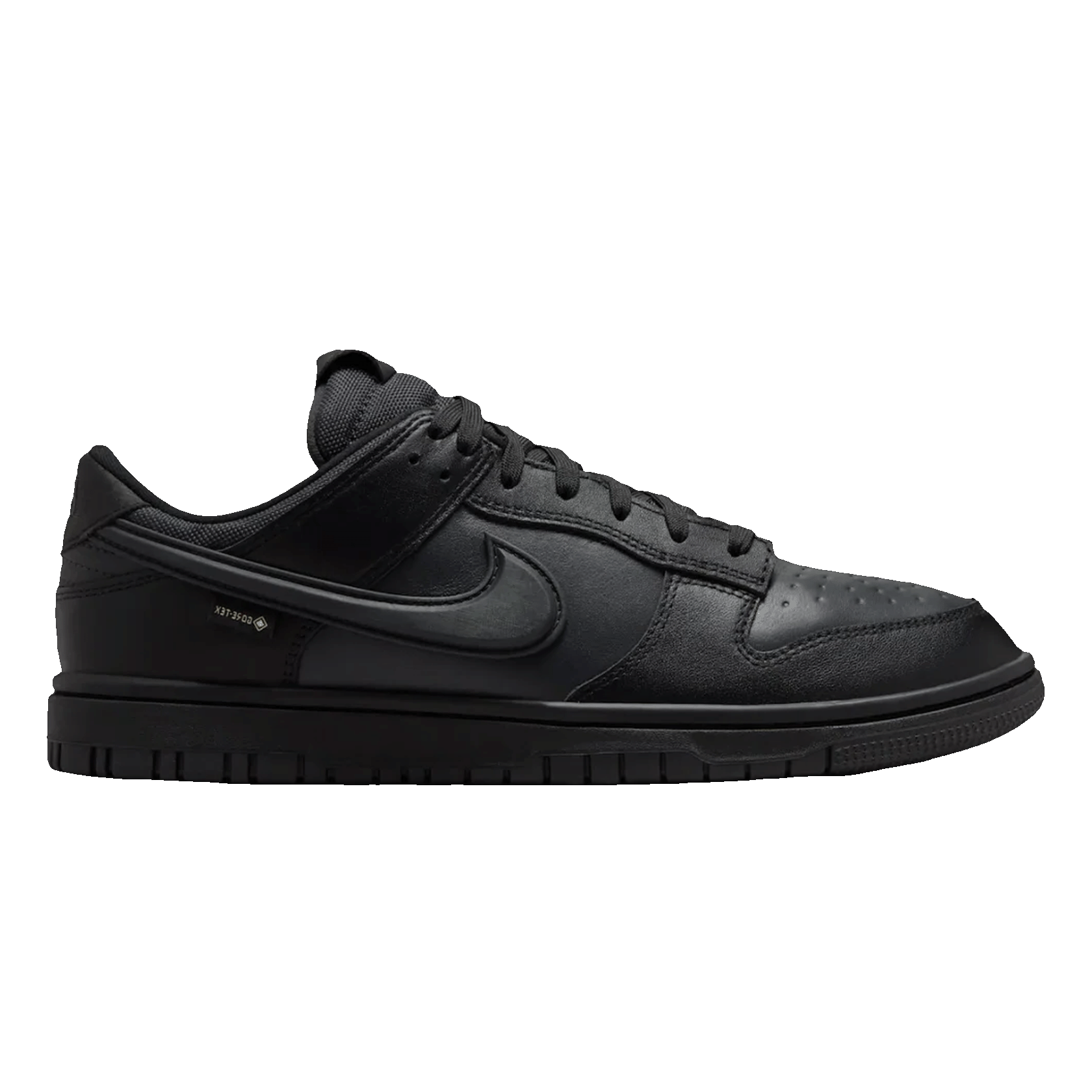 Nike Dunk Low Gore-Tex Triple Black HQ2053-001
